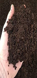 vermicompost